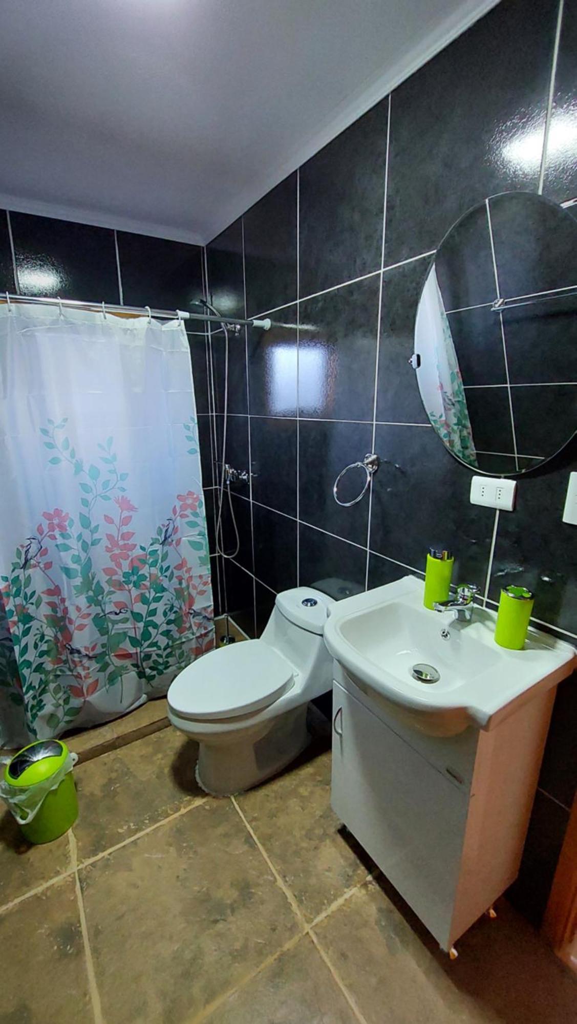 Cabanas Antu Kuyen Patagonica 纳塔列斯港 外观 照片